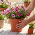 Topf „Irys“ Plastik Terrakotta Ø29cm H24cm 1 St | Floristik21.de