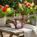 Windlicht Glas Deko Gießkanne Metall Rot Ø14cm H13cm | Floristik21.de