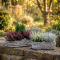 Pflanzschale, Pflanzkasten Grau 48,5/31,5cm 2er-Set | Floristik21.de