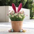 Hasen Deko Ohren Pink Osterdeko Beflockt Stab 56cm | Floristik21.de