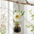 Mohnblume im Glas zum Hängen Weiß H22cm | Floristik21.de