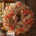 Deko Kranz Trockenblumen Orange Creme Ø25cm – stilvolle Boho Dekoration für Tür und Wand | Floristik21.de