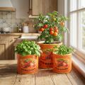 Tomaten Pflanztöpfe Set aus Keramik in 3 Größen – Dekorative Blumentöpfe für Kräuter und Trockenblumen | Floristik21.de