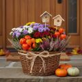 Deko-Vogelhaus Birke 5cm mit Stab 17cm 4er-Set | Floristik21.de
