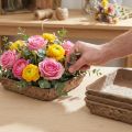 Oasis Biolit Basis Steckschaum 13x13x2cm 12er Set Blumendeko DIY | Floristik21.de
