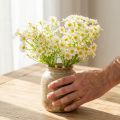 Künstlicher Kamille Blumenbund 28 cm – Realistische Seidenblumen für langlebige Dekoration, 3er Set | Floristik21.de
