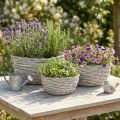 Pflanzkorb Weidenkorb Set Weißgrau Shabby Chic Dekoration 3er | Floristik21.de