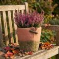Beton Blumentopf Übertopf Terracotta Topf Ø18cm H17cm | Floristik21.de