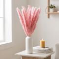 Trockengras Rosa Deko Riedgras Pampas 70cm 10 St | Floristik21.de