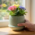 Blumentopf Keramik Übertopf mit Rillen Hellgrün Ø14,5cm H12,5cm | Floristik21.de