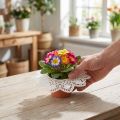 Biedermeiermanschetten 18cm 25 St | Floristik21.de