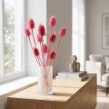 Wilde Karde Trockendeko Rosa Disteln 53cm 10 Köpfe | Floristik21.de