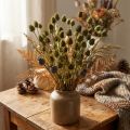 Erdbeerdistel Trockendeko Olivgrün, Natürlich Langhaltend, Ø1-2cm L55cm 100g | Floristik21.de