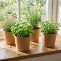 Pflanzgefäß, Blumentopf, Papierübertopf Natur Ø15cm H13cm 4St | Floristik21.de