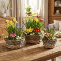 Pflanzkorb-Set Shabby Chic Weiß, Osterdeko Naturkorb mit Griffen Ø28/24/19cm, Dekokörbe gewaschen | Floristik21.de
