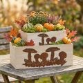 Pflanzkasten-Set, Holzkisten mit Pilzen, Herbstdeko Edelrost L40/30cm 2er-Set | Floristik21.de