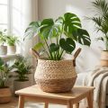Korb mit Henkeln Pflanzkorb Seegras Jute Ø23cm H20cm Boho Chic Urban Jungle Deko | Floristik21.de