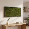 Wandbild Moos im Rahmen Grün 60x30cm Wanddekoration aus Moos | Floristik21.de