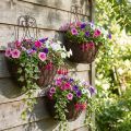 Hängekorb Pflanzen Metall Rostoptik H30/33,5/40cm 3er-Set | Floristik21.de