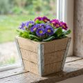 Blumenkasten Holz Übertopf Shabby Chic Beige 12,5×14,5×14,5cm | Floristik21.de