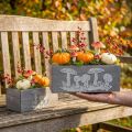Holzkasten-Set Fliegenpilz, Herbstdeko, Gartendeko, Pflanzkisten L40/30cm 2er-Set | Floristik21.de