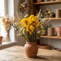 Strohblume Gelb getrocknet Helichrysum Trockenblumen Deko Bund 100g | Floristik21.de