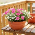 R-Schale Plastik Terrakotta Ø15cm, 10 St | Floristik21.de