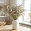 Trockenblumen Strandflieder Statice 2kg Naturdeko | Floristik21.de