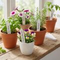 Stecketiketten 20mm x 140mm 250 St | Floristik21.de