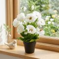 Mohn im Topf Weiß Seidenblumen Blumendeko | Floristik21.de