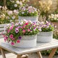 Schale zum Bepflanzen, Metallgefäß mit Spitzenmuster, Dekotopf oval Weiß, Silbern Shabby Chic L41,5/35/29,5cm H19/16/14,5cm 3er-Set | Floristik21.de