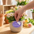 Etiketten „Gute Besserung" 250St | Floristik21.de