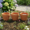 Aquasafe Wasserspeicher mit Insektentränke 12 cm 3er-Set | Floristik21.de
