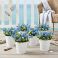 Blecheimer Weiß Ø14cm H12cm 6 St | Floristik21.de