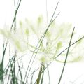 Floristik21 Binsen Gras Künstlich Blüte Kunstblumen im Topf 56cm