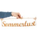 Gartendeko mit Schmetterlingen, Hänger “Sommerlust”, Metalldeko Edelrost L54,5cm H14cm | Floristik21.de