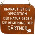 Floristik21 Gartenschild mit Spruch „Unkraut“ Rost Deko Garten 35×30cm