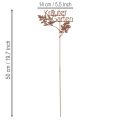 Gartenstecker Rost Kräuter Garten Beetstecker 14x17cm 4St | Floristik21.de