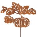 Floristik21 Gartenstecker Metall Kürbis Motiv 100cm Rostoptik