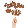 Gartenstecker Metall Kürbis Motiv 100cm Rostoptik | Floristik21.de