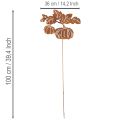 Gartenstecker Metall Kürbis Motiv 100cm Rostoptik | Floristik21.de