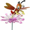 Floristik21 Gartenstecker Libelle auf Blume mit Metallfeder Orange, Pink H74cm