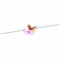 Floristik21 Gartenstecker Libelle auf Blume mit Metallfeder Orange, Pink H74cm
