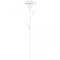 Floristik21 Gartenstecker-Blume, Gartendeko, Pflanzenstecker aus Metall Shabby Chic Weiß, Silbern L52cm Ø10cm 2St