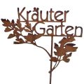Floristik21 Gartenstecker Rost Kräuter Garten Beetstecker 14x17cm 4St