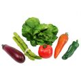 Floristik21 Gemüse Sortiment im Netz