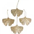 Floristik21 Ginkgoblatt Anhänger Ginkgo Vintage Deko Metall 15×11cm 4St