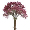 Floristik21 Gipskraut Gypsophila Schleierkraut künstlich Pink 35cm 5St
