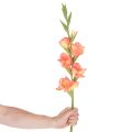 Künstliche Gladiole aus Seidenstoff, Orange-Gelb, 88 cm | Floristik21.de