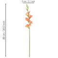 Künstliche Gladiole aus Seidenstoff, Orange-Gelb, 88 cm | Floristik21.de